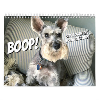 Boop! Super Owen, o Calendário do Schnauzer 2021