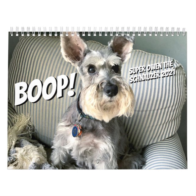 Boop! Super Owen, o Calendário do Schnauzer 2021 (Capa)
