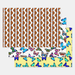 Borboleta Adorava Folhas de Papel