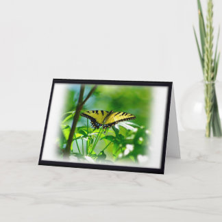 Borboleta Adquira Bem Cartão