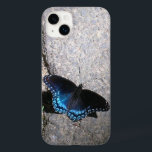 Borboleta Almirante Vermelha<br><div class="desc">Uma borboleta do Almirante Vermelho atinge uma pose num feixe de luz solar sobre isto completamente personalizável.</div>