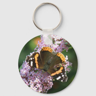 Borboleta-Almirante Vermelha e Buddleia Chaveiro