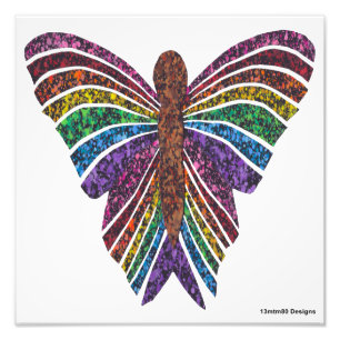Borboleta Arco-íris (branca) - Impressão de Foto