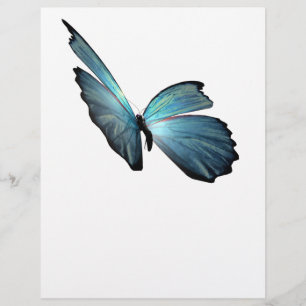 Borboleta azul de Morpho