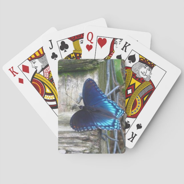 Borboleta Azul em Repouso sobre Cartas de Baralho (Verso)