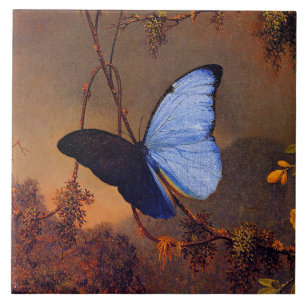 Borboleta Azul Morpho, belas artes,