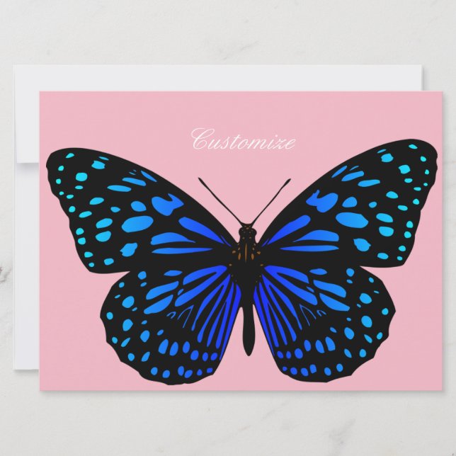 Borboleta azul Thunder_Cove (Frente)