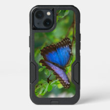 Borboleta Azul Tropical Roxo