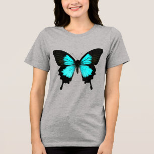 Borboleta - azul-turquesa e preto