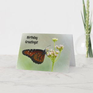 Borboleta bonito no Cartão de Aniversário das Flor