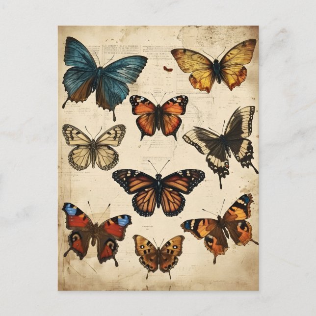 Borboleta Caleidoscópio: Cartão postal Vintage (Frente)