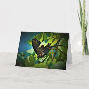 Borboleta, cartão