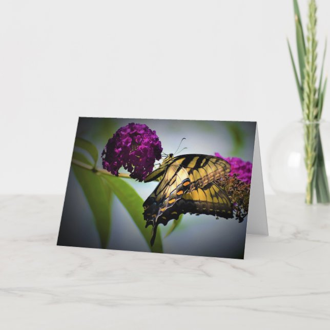 Borboleta, cartão (Frente)