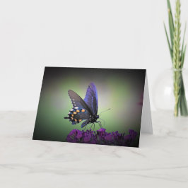Borboleta, cartão