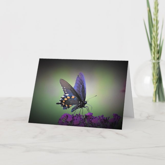 Borboleta, cartão (Frente)