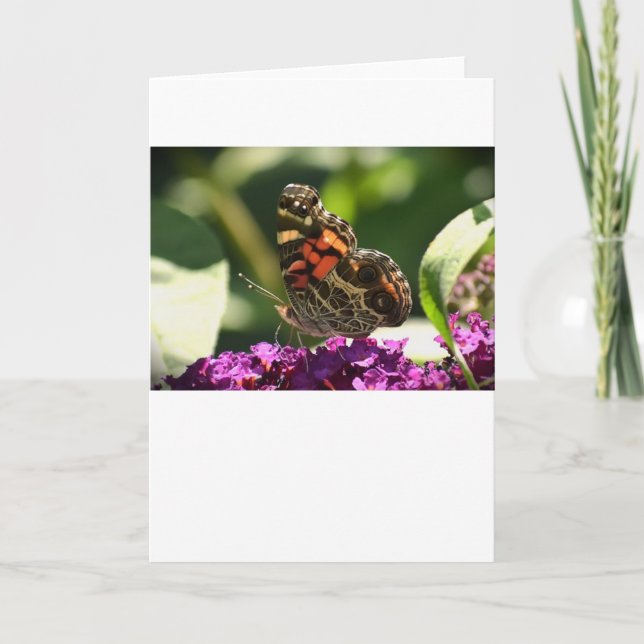Borboleta, cartão (Frente)
