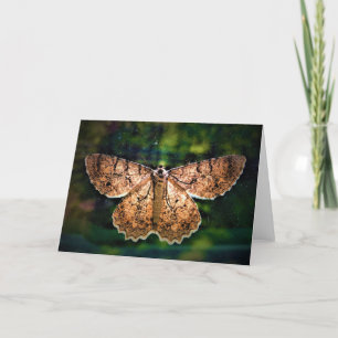 Borboleta, cartão