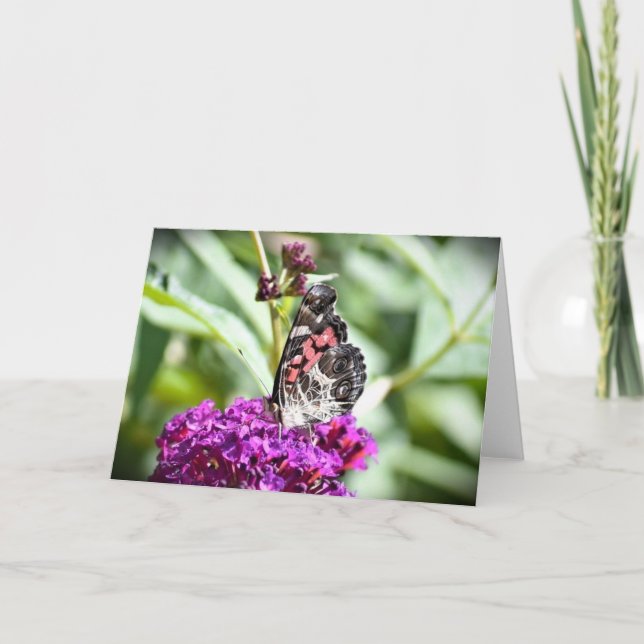 Borboleta, cartão (Frente)