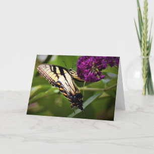Borboleta, cartão
