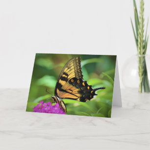 Borboleta, cartão