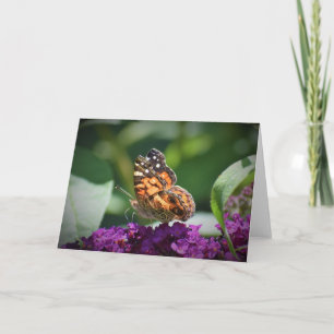 Borboleta, cartão