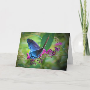 Borboleta, cartão