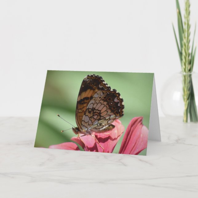 Borboleta, cartão (Frente)