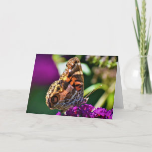 Borboleta, cartão