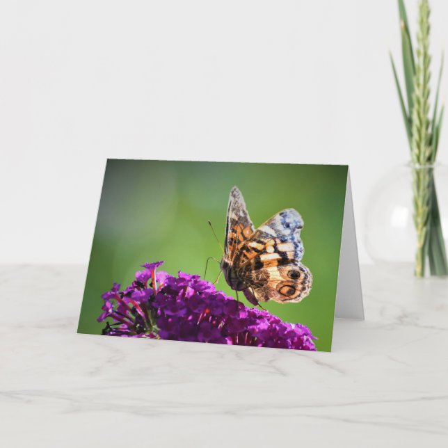 Borboleta, cartão (Frente)