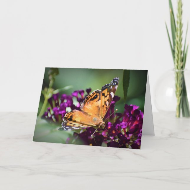 Borboleta, cartão (Frente)