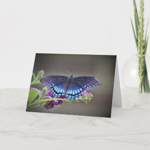 Borboleta, cartão