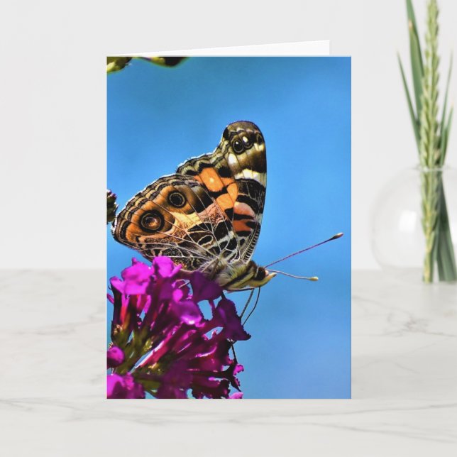 Borboleta, cartão (Frente)