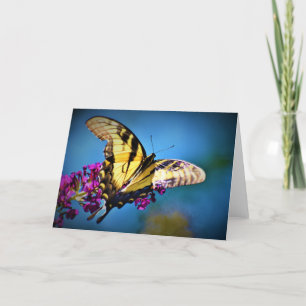 Borboleta, cartão