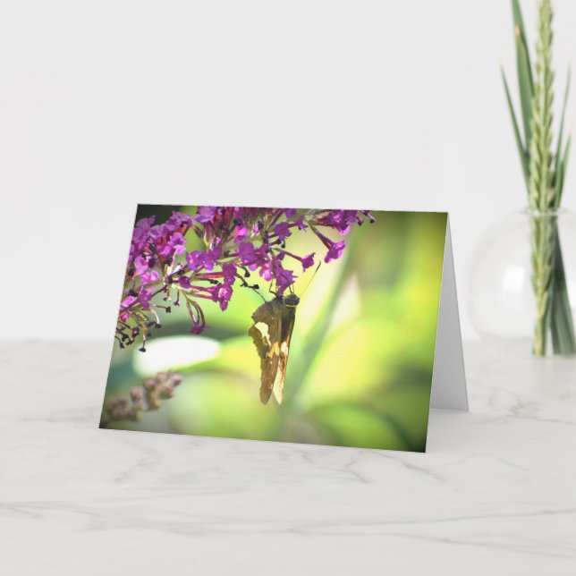 Borboleta, cartão (Frente)