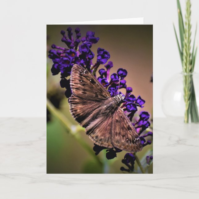 Borboleta, cartão (Frente)