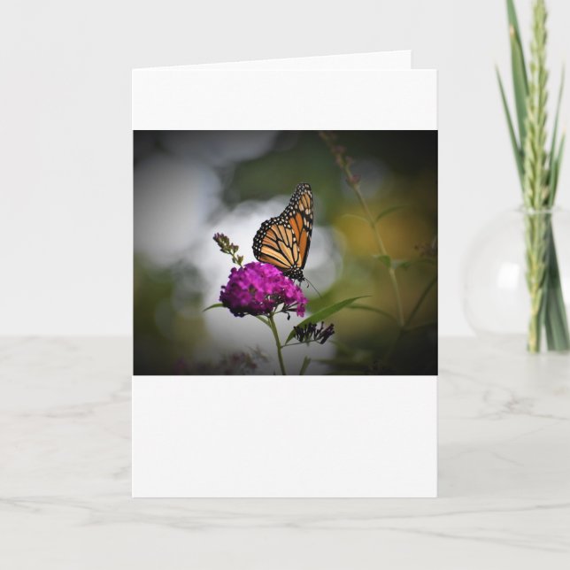 Borboleta, cartão (Frente)