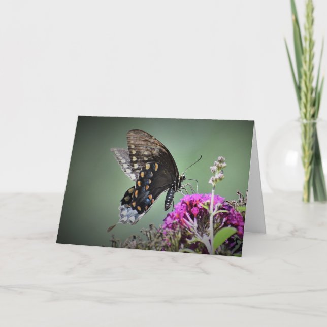 Borboleta, cartão (Frente)