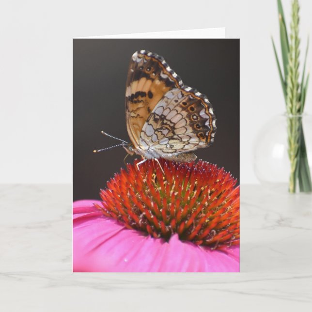 Borboleta, cartão (Frente)