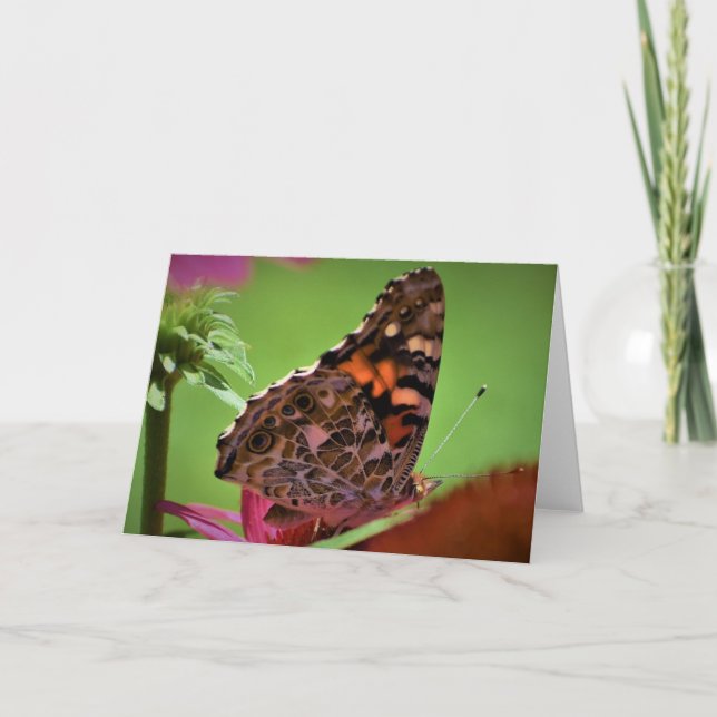 Borboleta, cartão (Frente)
