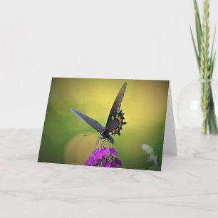 Borboleta, cartão