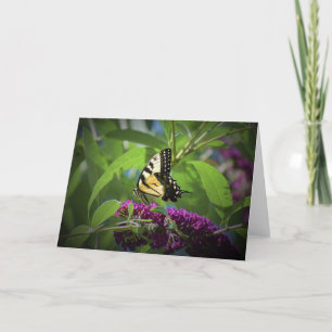 Borboleta, cartão