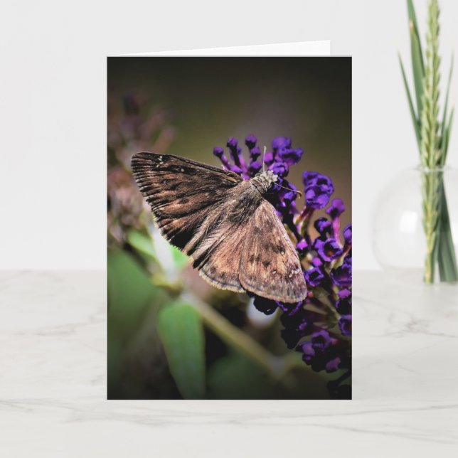Borboleta, cartão (Frente)