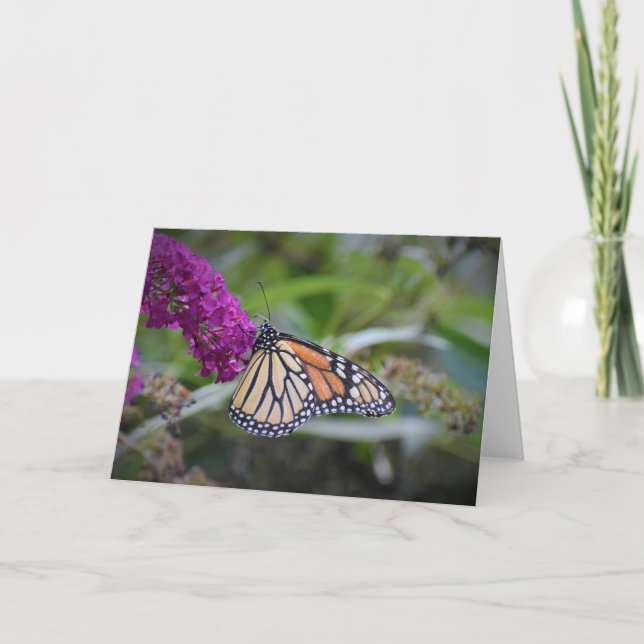 Borboleta, cartão (Frente)