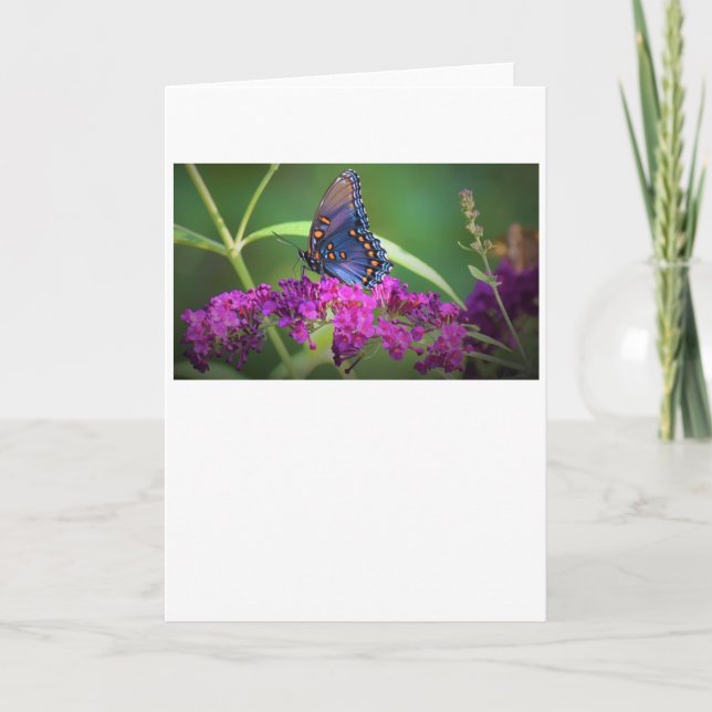 Borboleta, cartão (Frente)