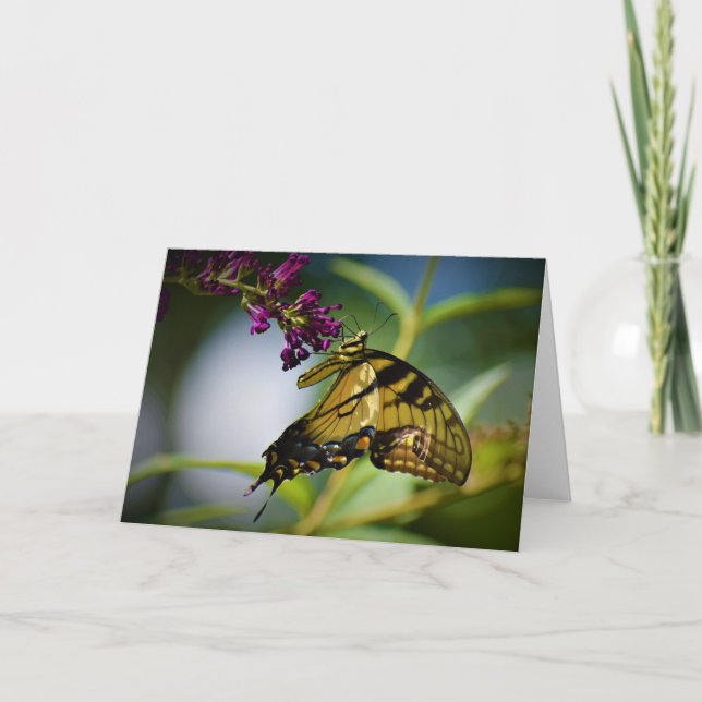 Borboleta, cartão (Frente)