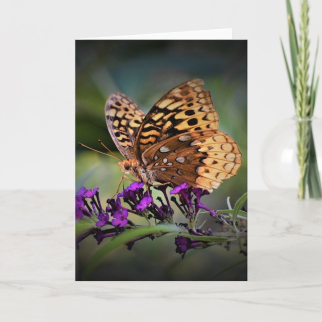 Borboleta, cartão (Frente)