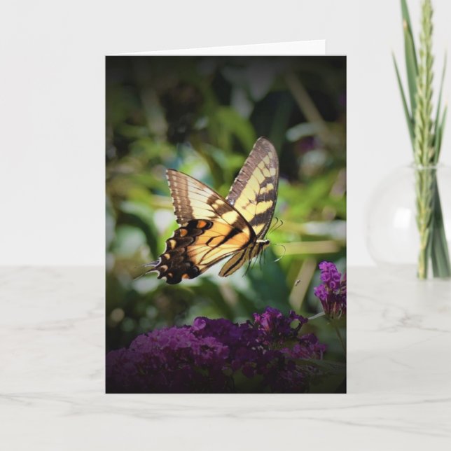 Borboleta, cartão (Frente)