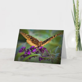 Borboleta, cartão