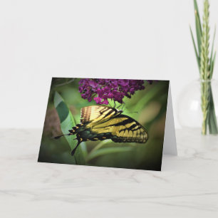Borboleta, cartão