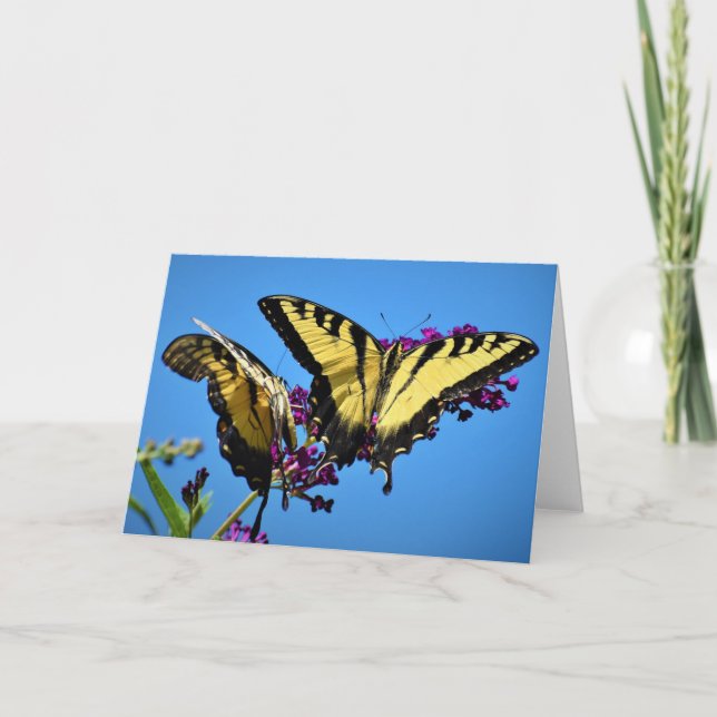 Borboleta, cartão (Frente)